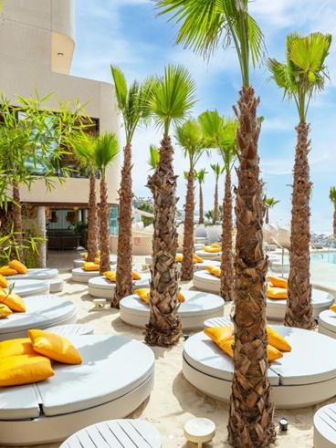 The Beach Club Higuerón