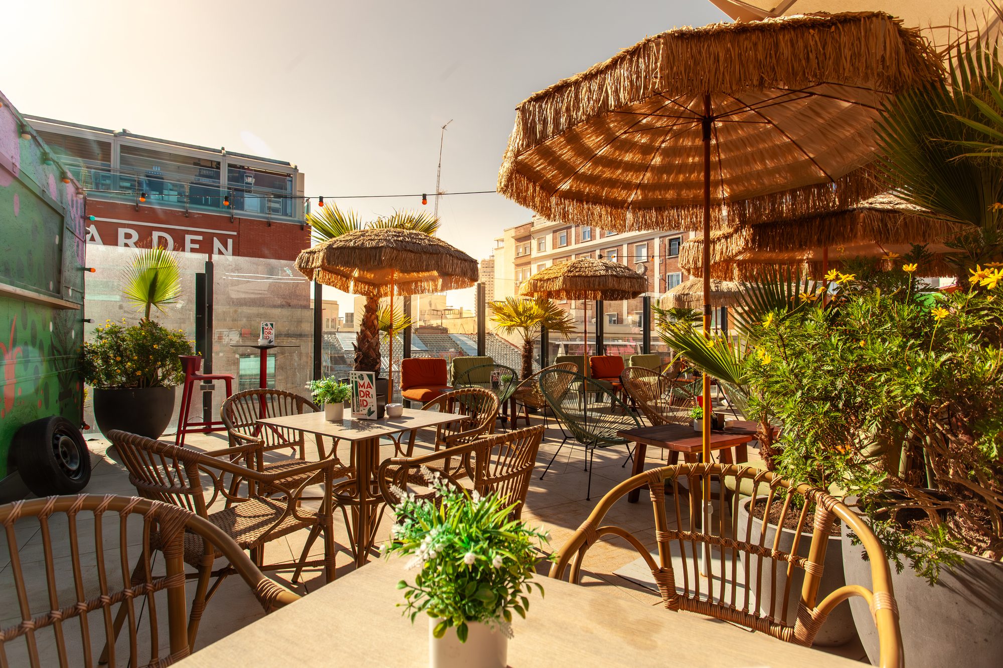 Terraza Generator (Broken Shaker Madrid)
