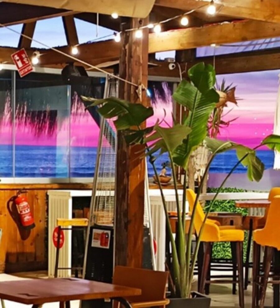 Pura Vida
