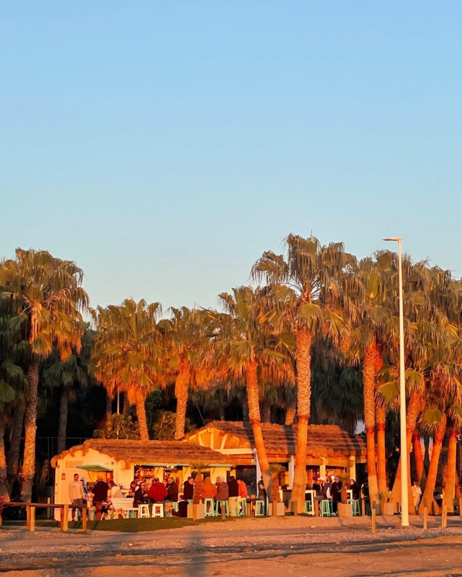 Bonobo Beach Bar