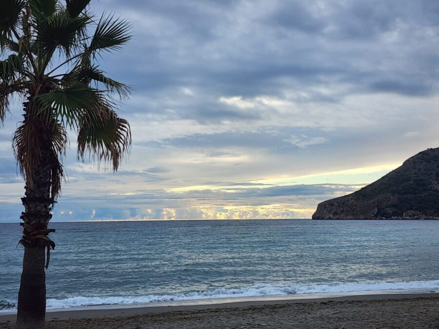 Sal y Limón